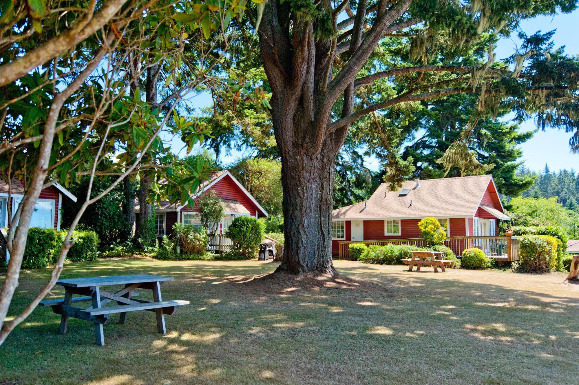 View Crest Lodge Trinidad Eksteriør bilde